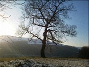 Rob Richards